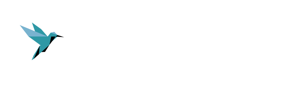 logo colibri vision